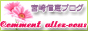 宮崎信恵ブログ